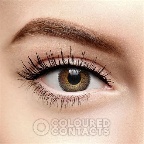 Monthly Natural Lenses: Freshlook Colorblends Brown Contacts