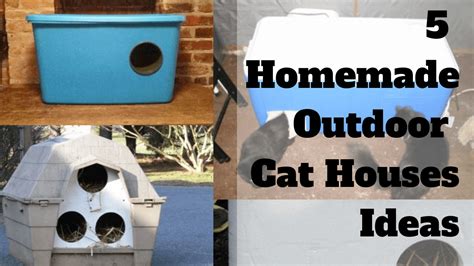 5 Homemade Outdoor Cat Houses Ideas You Can Make At Home | Outdoor Cat ...