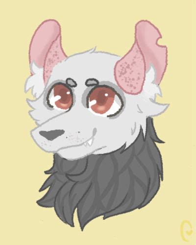 Opossum Oc By Axolotlmama On Deviantart