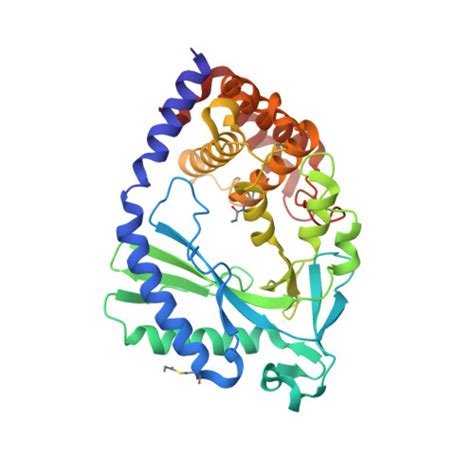 RCSB PDB 7FUP Crystal Structure Of Human Cyclic GMP Synthase In