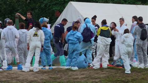 Peste Suina Sgomberato Il Rifugio Cuori Liberi Di Zinasco La Lav