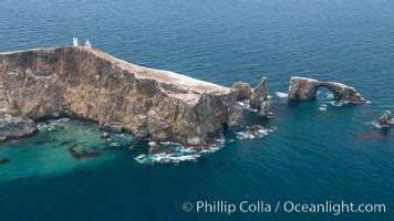 Anacapa Island Photo, Anacapa Island photos, Natural History Photography