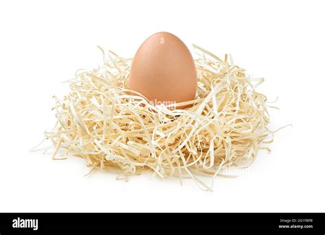 Straw Nest Chicken Cut Out Stock Images Pictures Alamy