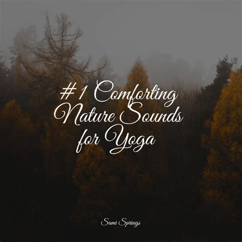 1 Comforting Nature Sounds For Yoga Album By White Noise Nature