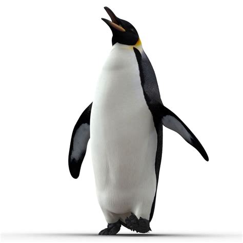 Pinguin Gehendes Modell Der Haltungs D D Modell Max Obj Ma