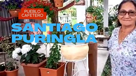 Quieres Conocer SANTIAGO PURINGLA El Pueblo Cafetero De La Paz