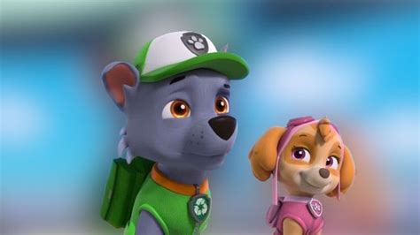 Pin By Attila Paksi On Paw Patrol In Skye Paw Patrol Skye Paw