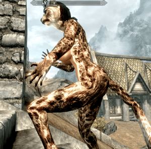 Top 10 Best Skyrim Khajiit Mods TBM TheBestMods