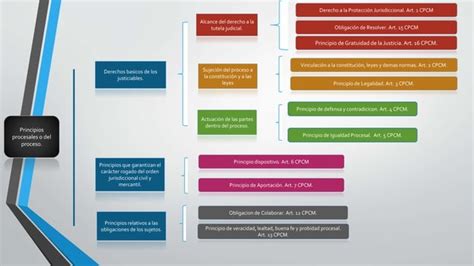 Los Principios Procesales Constitucionales En El Cpcm Ppt