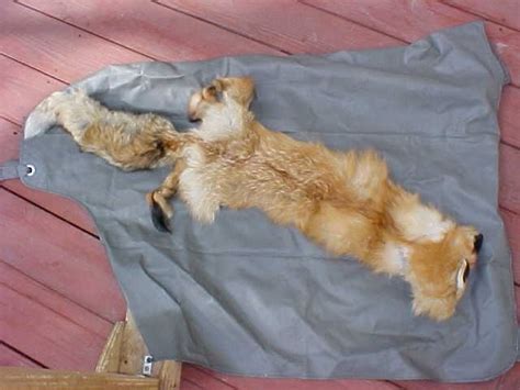 How to Tan Hides and Fur Skins | Hunker