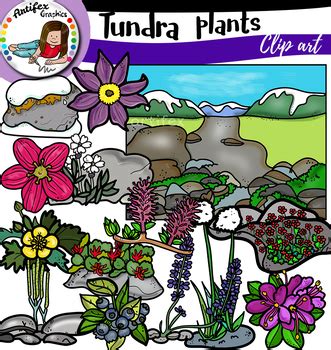 Tundra Plants by Artifex | TPT
