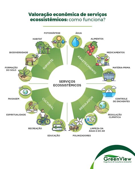 O Que São Serviços Ecossistêmicos - Valoração econômica de serviços ecossistêmicos: como funciona?