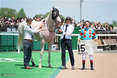 アマンテビアンコ Amante Bianco 競走馬データベース 競馬ラボ