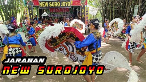 Jaranan New Surojoyo Live Sor Pring Ngadi YouTube