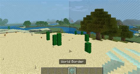 Border World Minecraft Map