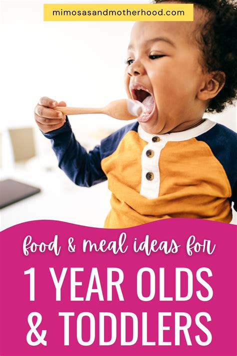Food And Meal Ideas For 1 Year Olds And Toddlers - Mimosas & Motherhood