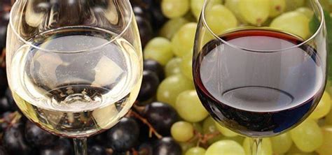 Antioxidants in Wine - Fine Wine Master