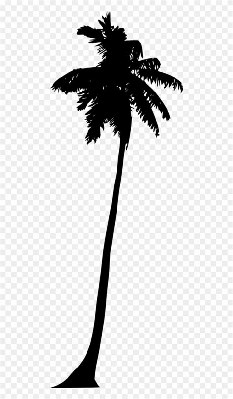 Free Png Palm Tree Silhouette Png Silhouette Transparent Png