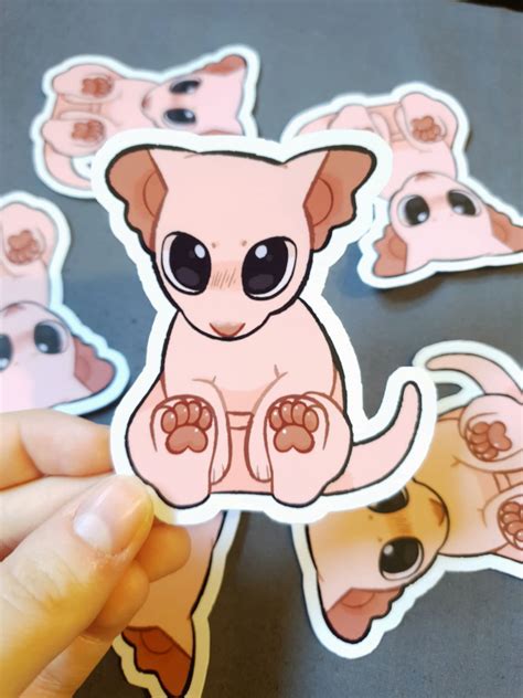 Bingus Cute Cat Meme Sticker Etsy UK