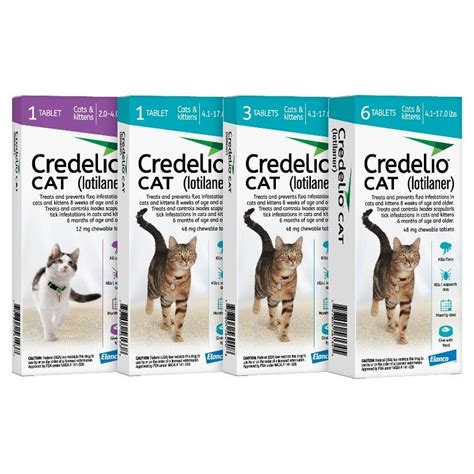 Credelio® — Monthly Flea & Tick Protection for Your Cat