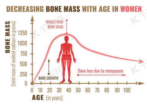 骨量减少背景图片免费下载 千库网