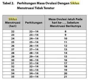 Cara Menghitung Masa Subur Kalkulator Masa Subur Wanita