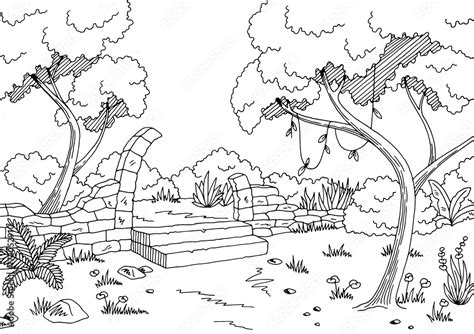 Jungle Scene Clipart Black And White