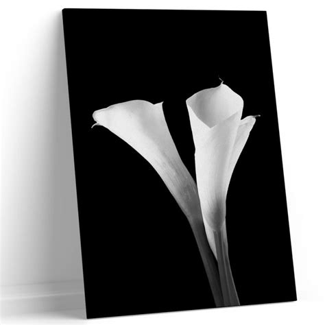 Black And White Iii Cuadros Decorativos Decor