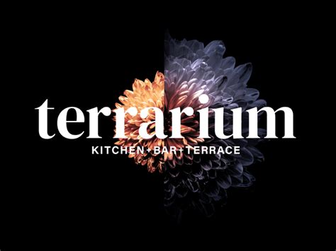 Terrarium Perth Kitchen Bar Terrace Terrarium