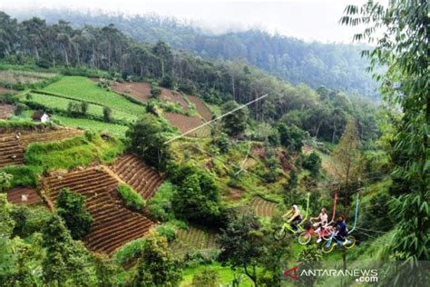 Wisata Lereng Gunung Lawu Antara News Papua