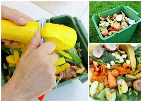 Recyclage Des D Chets Alimentaires La Source Traitement Des D Chets