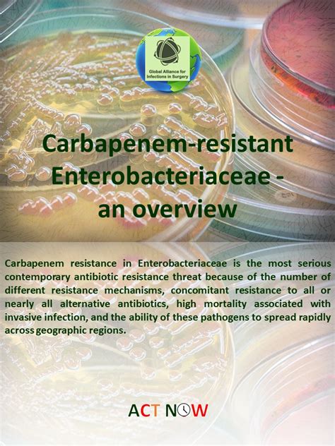 Carbapenem-resistant Enterobacteriaceae – an overview – Global Alliance ...