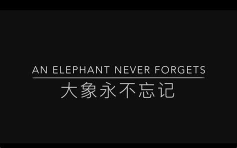 Imovie An Elephant Never Forgets Bilibili