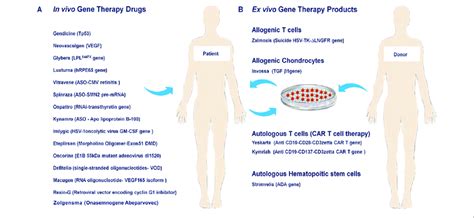 | Approved human gene and cell-based gene therapy products. (A) In vivo ...