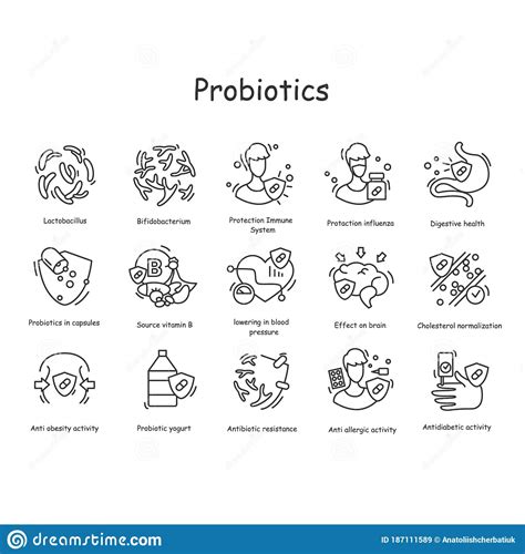 Probiotics Set Of Icon Good Bacteria For Human Flora Health Linear