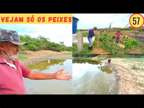 Vejam S Que Aconteceu Os Peixes Do Antigo A Ude Dia De Trabalho