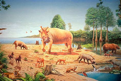 Paleocene Epoch Visit The Teriary