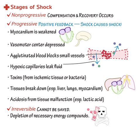 Circulatory Shock Types