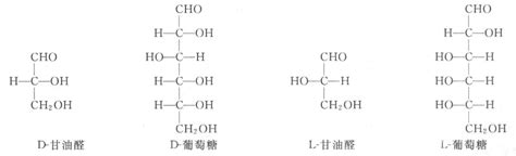 糖类的化学解读生命化学挂云帆