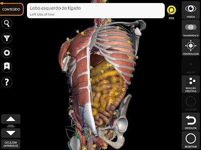 Anatomia Atlas 3d Apk Desbloqueado - Anatomia - Atlas 3D – Apps no Google Play
