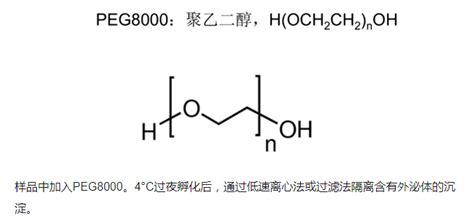 【收藏】外泌体提取方法汇总 技术前沿 资讯 生物在线