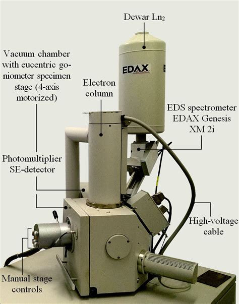 Scanning Electron Microscope Structure