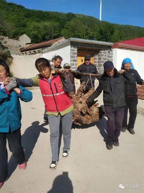 听说章丘这个小山村，有个日行万余步的“铁脚板” 贾在芝 巡查 搬运