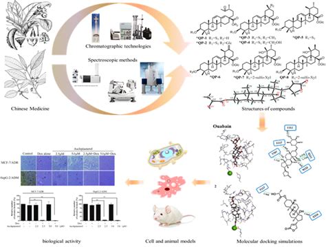 中药与天然药物化学研究组 广州中医药大学 国际中医药转化医学研究所