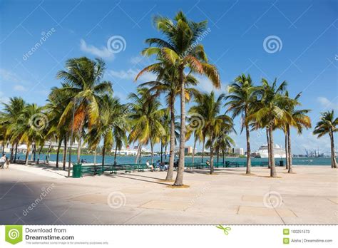 Parque De Miami Bayfront Foto De Archivo Editorial Imagen De Oc Ano