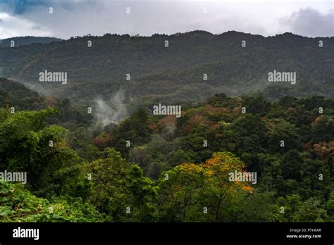 Trinidad northern range hi-res stock photography and images - Alamy