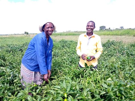 Empower 500 Women Farmers In Mozambique Globalgiving