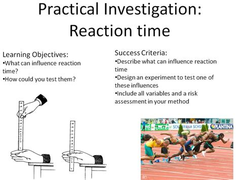 New Gcse 9 1 Reaction Time Practical Teaching Resources