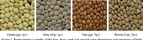 Table 1 From Influence Of Seed Coat Color Genes On Milling Qualities Of