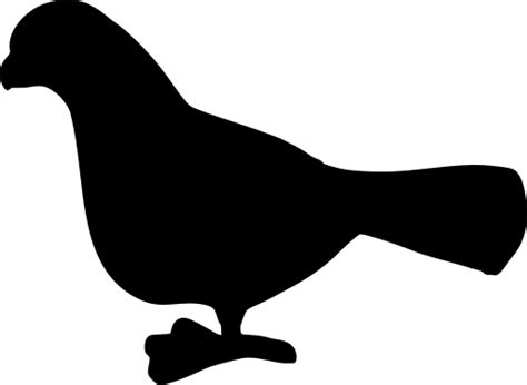 SVG animal oiseau Pigeon Image et icône SVG gratuite SVG Silh